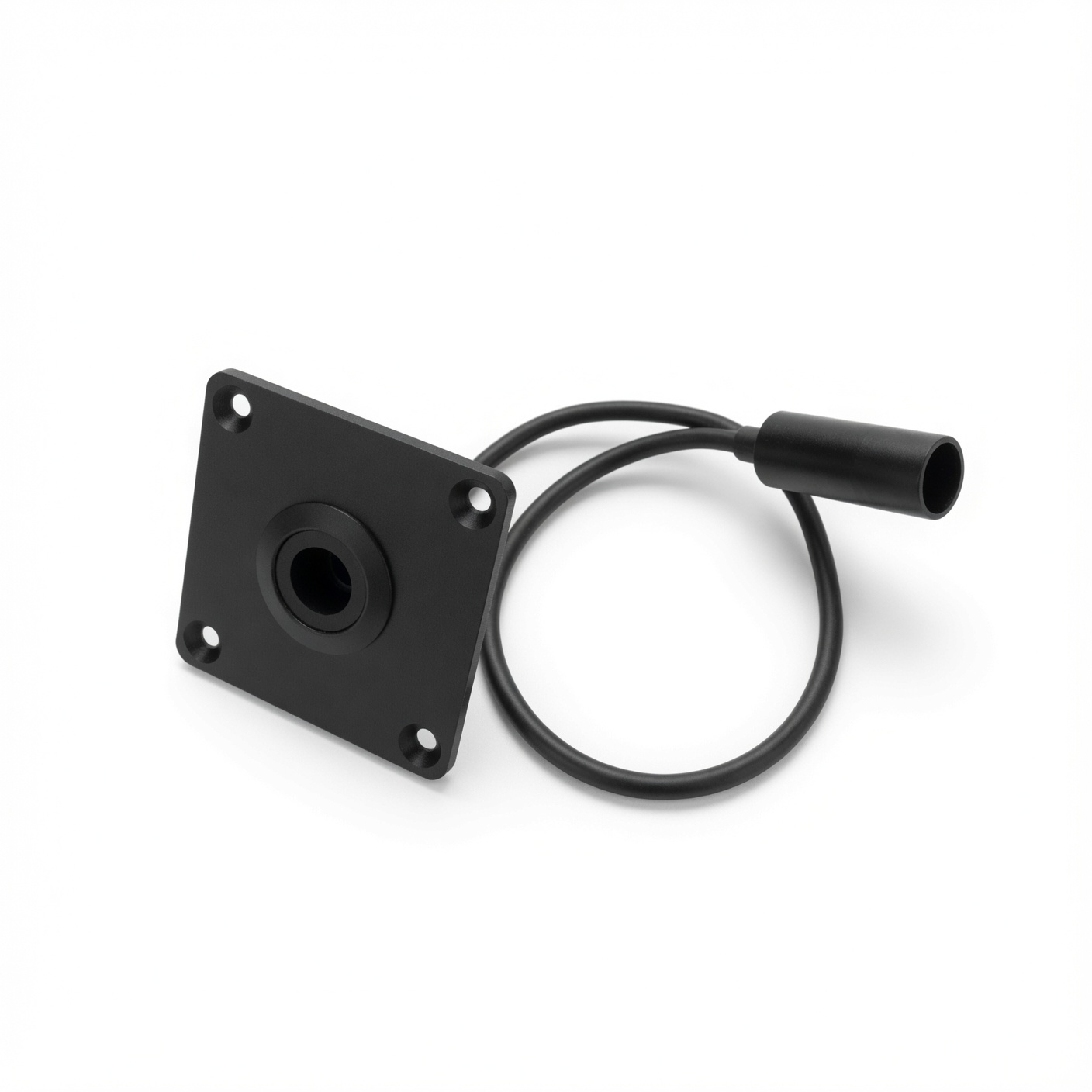 Panel Mount Entry